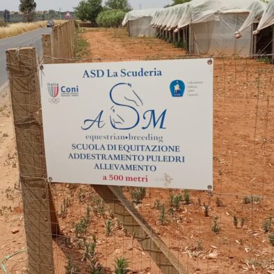 WhatsApp Image 2025-06-19 at 10.53.40 (2)